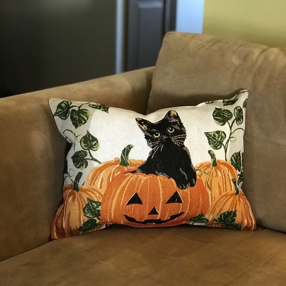 Black cat pillow.